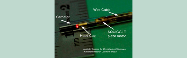 Stationary-fiber rotary probe with unobstructed 360° view for optical coherence tomography