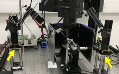 Upright Magnetic Arms, with Extender Posts, Improves 4DOF Multi-Probe Micromanipulator Flexibility