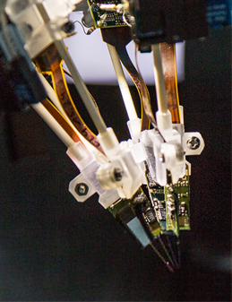 Five neuropixels probes in probe holders